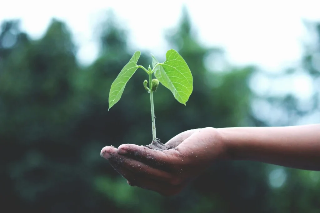 Finding Ground When the World Feels Like It’s Burning: Managing Climate Anxiety